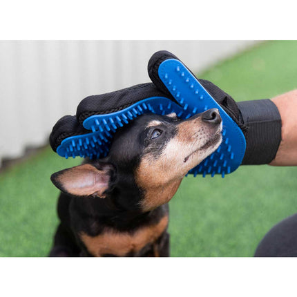 Hygiene-Set für Hunde: Alles für die perfekte Pflege mit Bürsten, Pflegehandschuh und Zange
